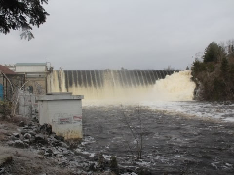 Water flowing over the Ellsworth Hydro Dam, trees to the right.
